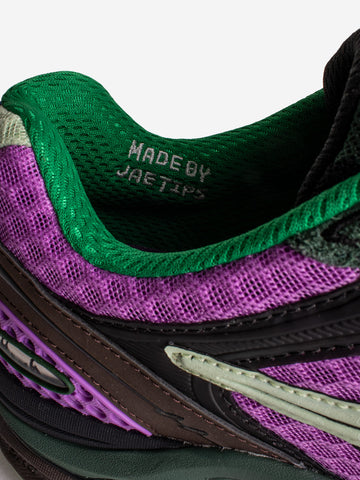 SAUCONY Progrid Triumph 4 Jae Tips 'Flower Grow Uptown' Pack Perilla Viola marrone