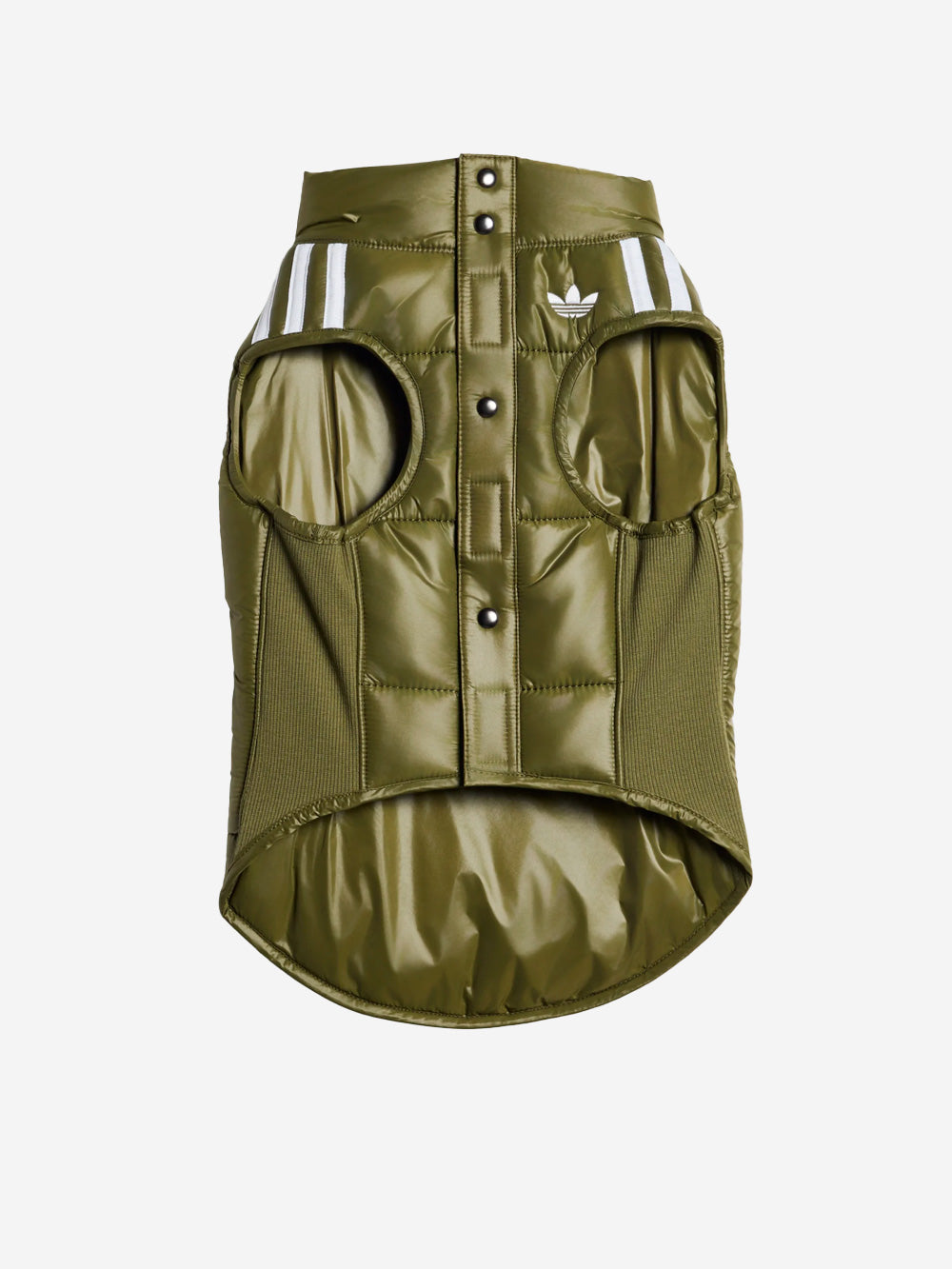 ADIDAS Gilet Pet Padded verde Verde Urbanstaroma