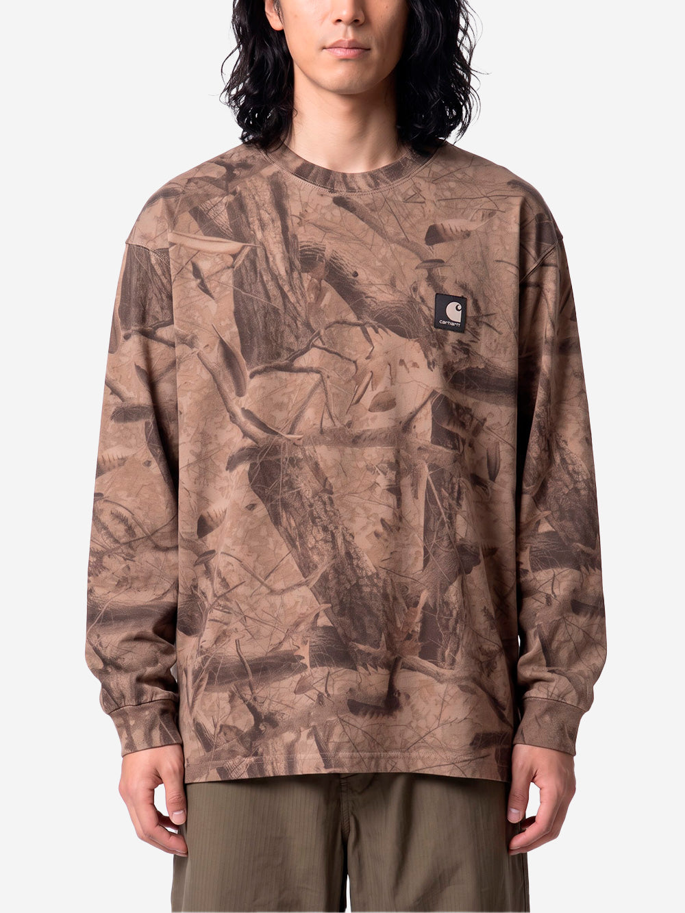 CARHARTT WIP T-shirt a manica lunga con stampa Feather Tree Marrone chiaro Urbanstaroma