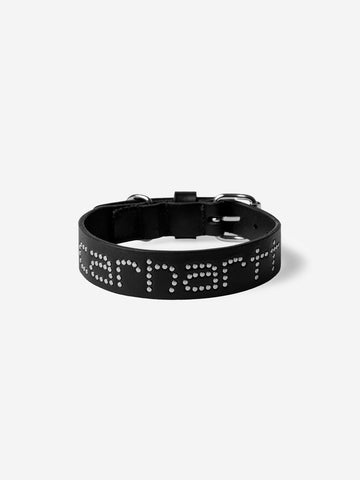CARHARTT WIP Script Studs Collare per cani S/M Nero