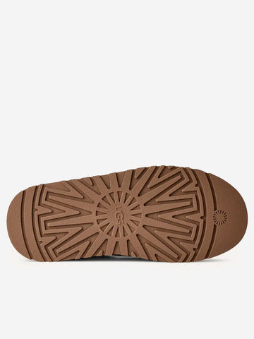 UGG W Tazz II 'Portobello' Vinaccia