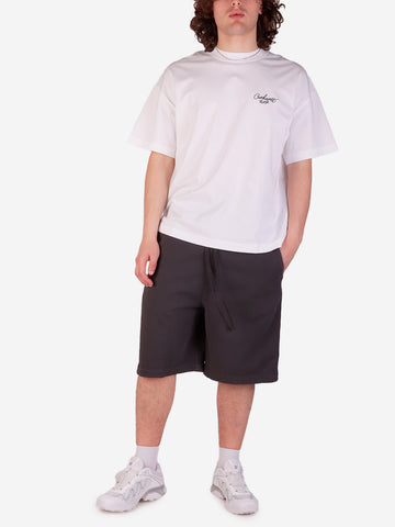 CARHARTT WIP Shorts grigi Floyde Grigio scuro