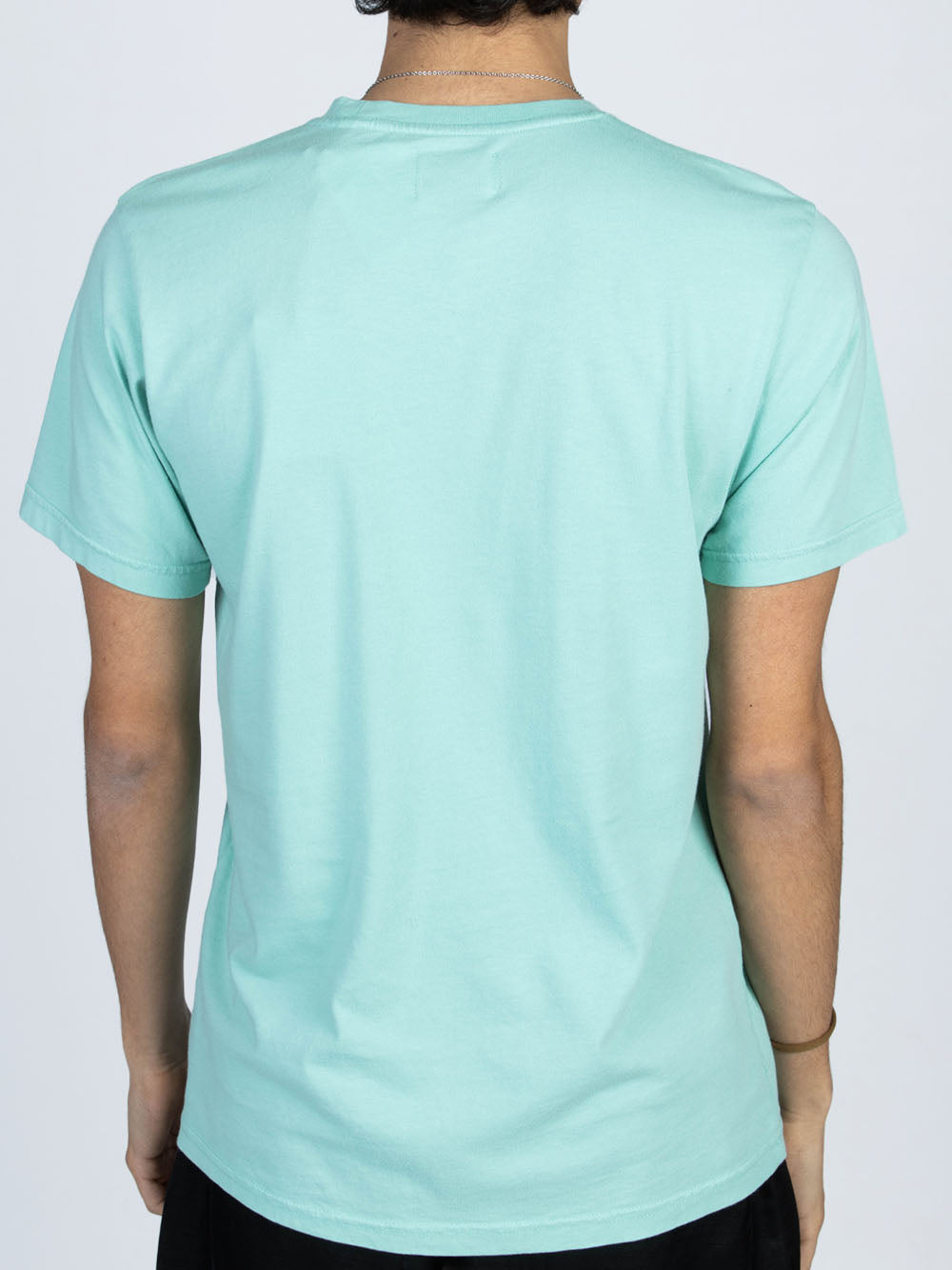 COLORFUL STANDARD T-shirt in cotone organico verde Verde Urbanstaroma