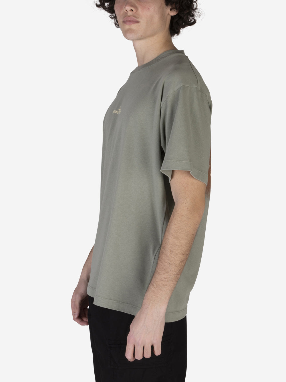 STONE ISLAND T-shirt con stampa Salvia Urbanstaroma